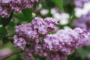 Similar image 21479872