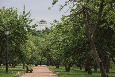 Similar image 21479873