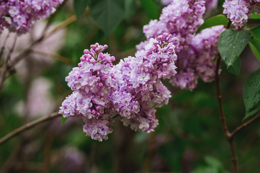 Similar image 21479874