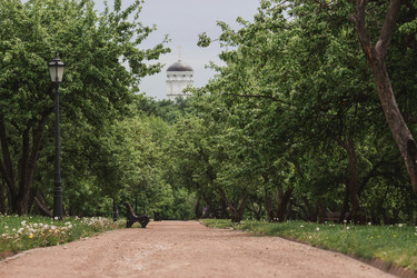 Similar image 21479877