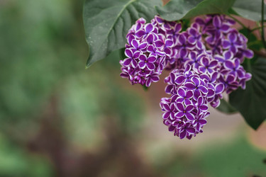 Similar image 21479878