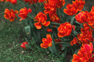 Similar image 21479881