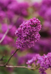 Similar image 21479887