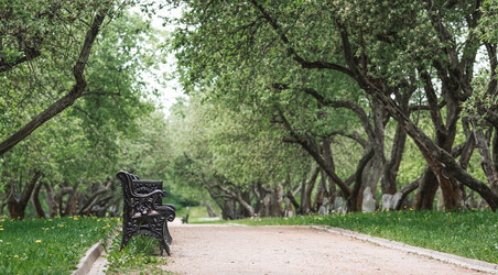 Similar image 21479895