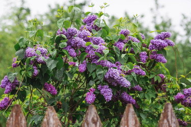 Similar image 21479898