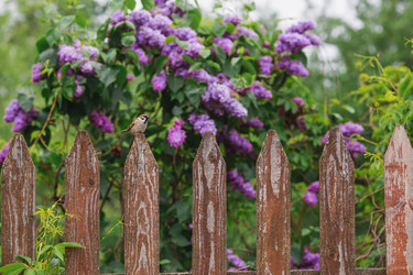 Similar image 21479899