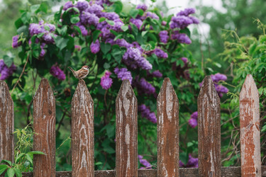 Similar image 21479900