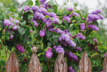 Similar image 21479902