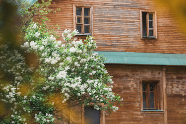 Similar image 21479903