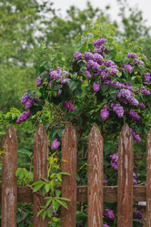 Similar image 21479905