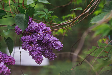 Similar image 21479908