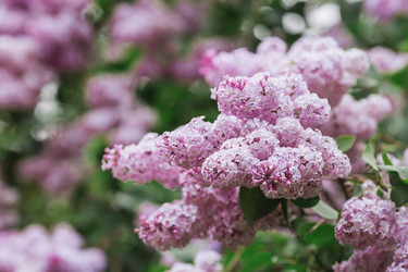 Similar image 21479912