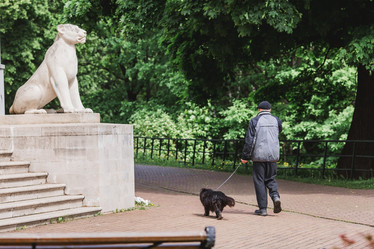 Similar image 21479922