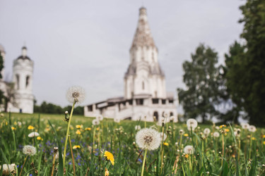 Similar image 21479928