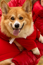 Similar image 21480463