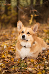 Similar image 21480465