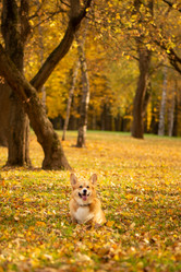 Similar image 21480466