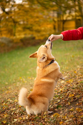 Similar image 21480469