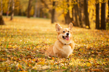 Similar image 21480470