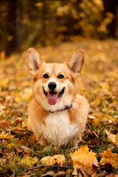 Similar image 21480472