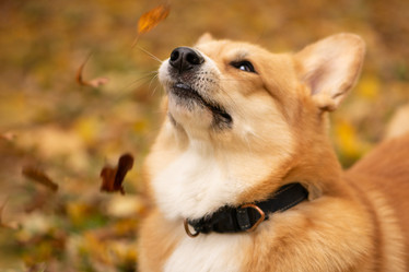 Similar image 21480473