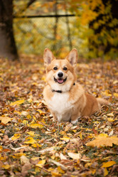 Similar image 21480475