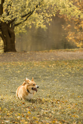 Similar image 21480477