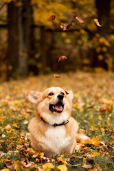 Similar image 21480479