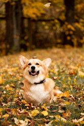 Similar image 21480480