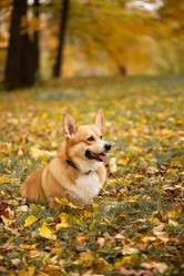 Similar image 21480481