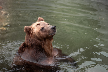 Similar image 21481295