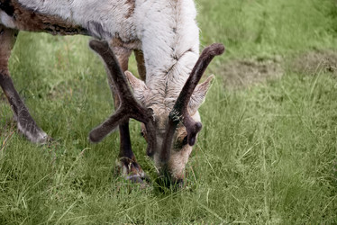 Similar image 21481298