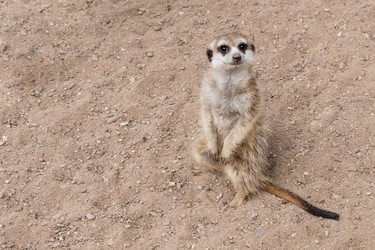 Similar image 21481300