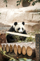 Similar image 21481302