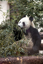 Similar image 21480482