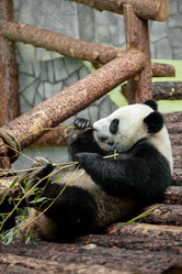 Similar image 21481304