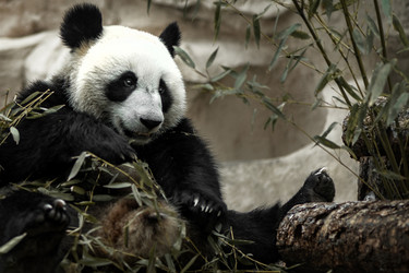 Similar image 21480483