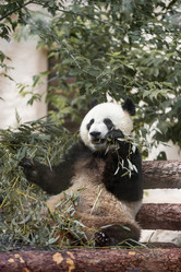 Similar image 21481307