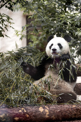 Similar image 21481308