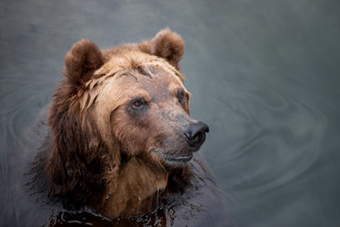 Similar image 21481310