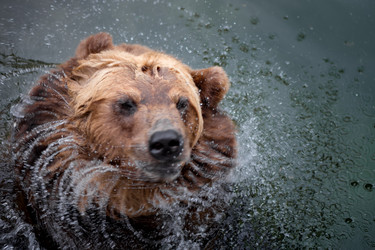 Similar image 21481311