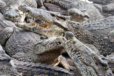 Similar image 21480486