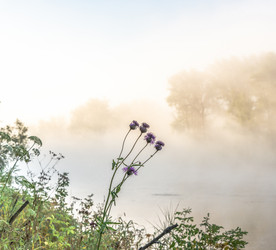 Similar image 21480487