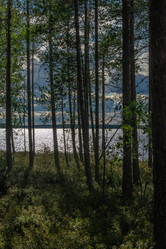 Similar image 21480489