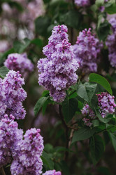 Similar image 21481319