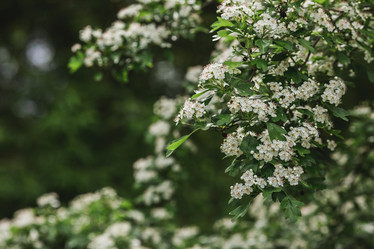 Similar image 21481320