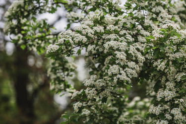 Similar image 21481321