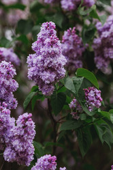 Similar image 21481322