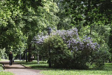 Similar image 21481323