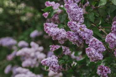 Similar image 21481324